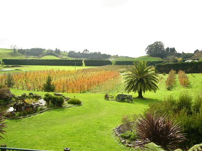 ȫȹ۹ǡ³(Rotorua)ϰɽȪ³ߡëɽں˼Ȫཬض಻ʤཬԾŨζοڵڣ·Ƽص