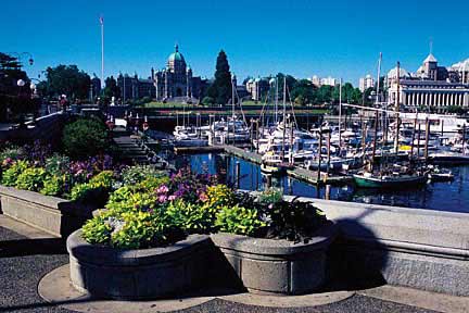 �¸绪�� �����ؾ� ������ѵ���